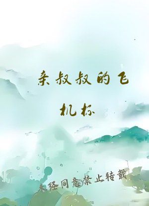 亲叔叔的飞机杯