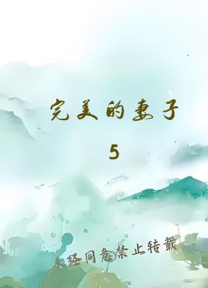 完美的妻子5