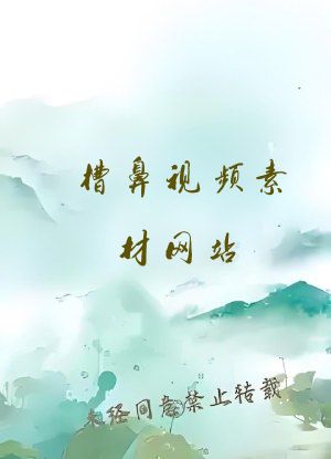 槽鼻视频素材网站